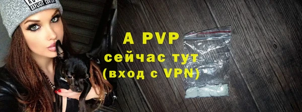 твердый Алексин